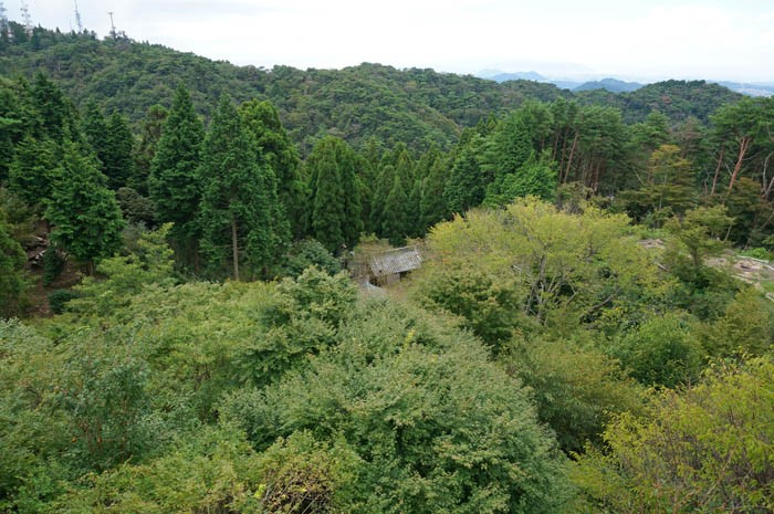 天上寺から見下ろす山門