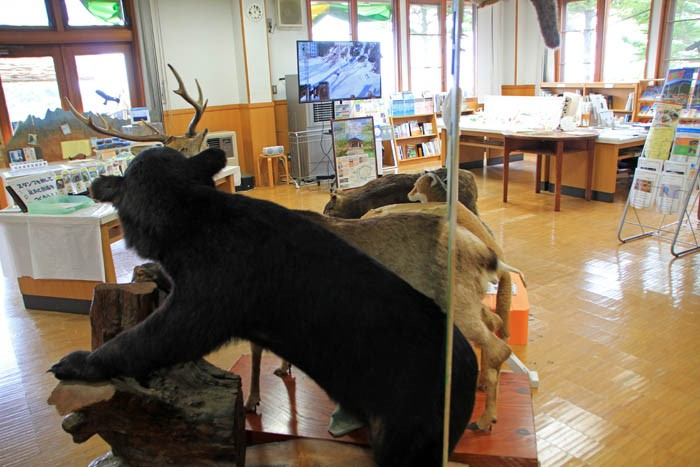 八ヶ岳自然ふれあいセンターの展示