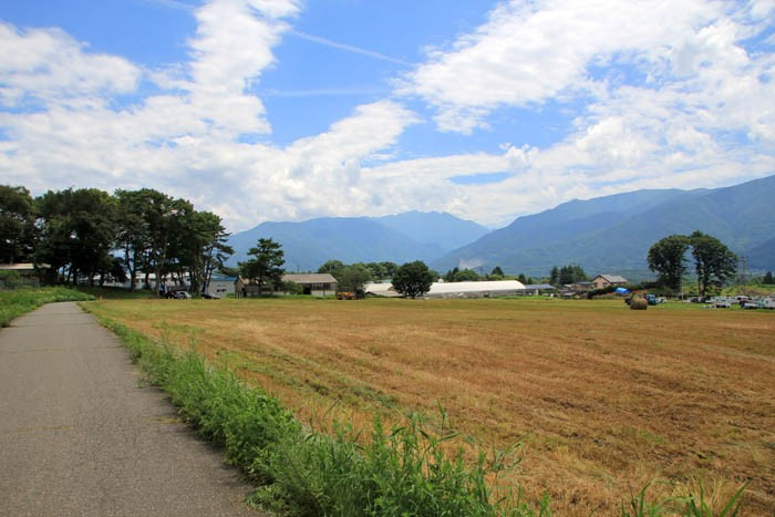 八ヶ岳アルパカ牧場の付近の風景