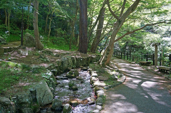 鼓ヶ滝公園遊歩道