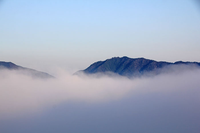 立雲峡第３展望台からの雲海