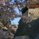 松山城