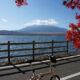 山中湖サイクリング