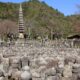化野念仏寺
