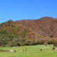 紅葉の蒜山高原
